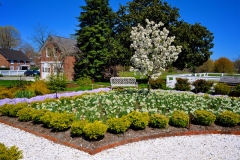 Image of the Woodburn Gardens in full bloom
