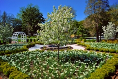 Image of the Woodburn gardens with the fountain and arch in view