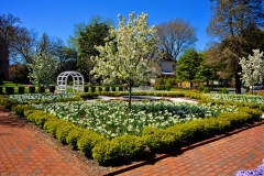 Image of the Woodburn gardens with Hall House in view