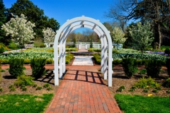 Image of the Woodburn gardens in bloom, and walkway arch